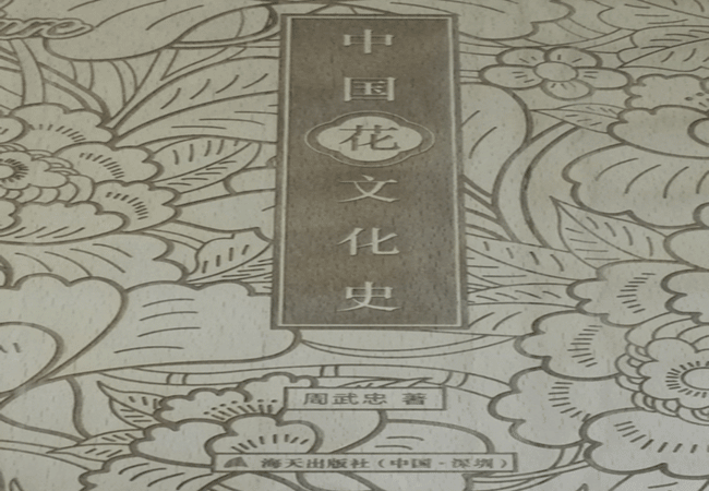 木製封麵激光雕刻