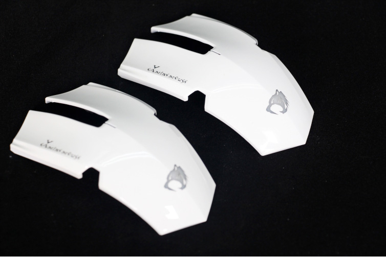 達爾優鼠標外（wài）殼激光打標