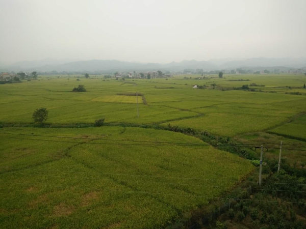 江西泰和“美麗鄉村”生活汙水處理項目